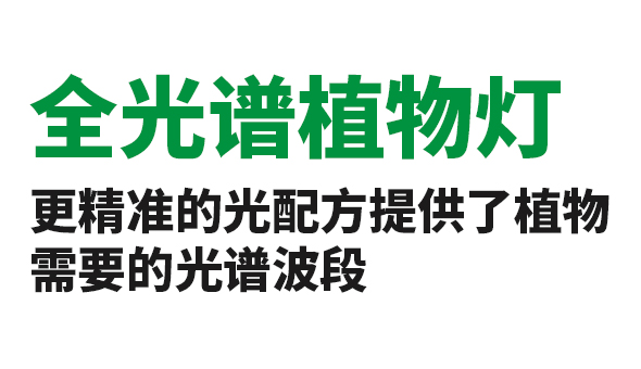 北京化工大学实验项目