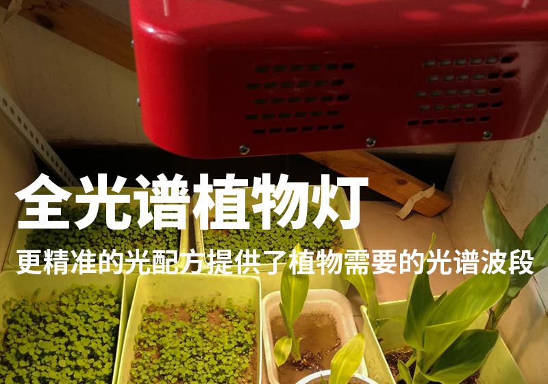 北京化工大学实验项目