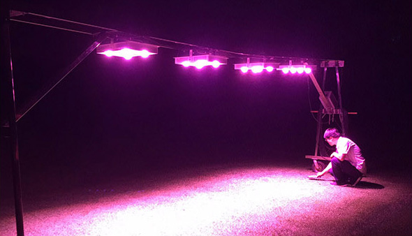 广州富力主场案例