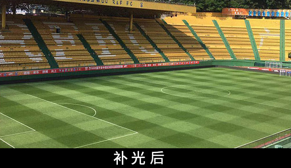 广州富力主场补光后效果