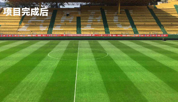 项目完成后效果