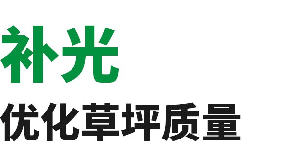 补光，优化草坪质量