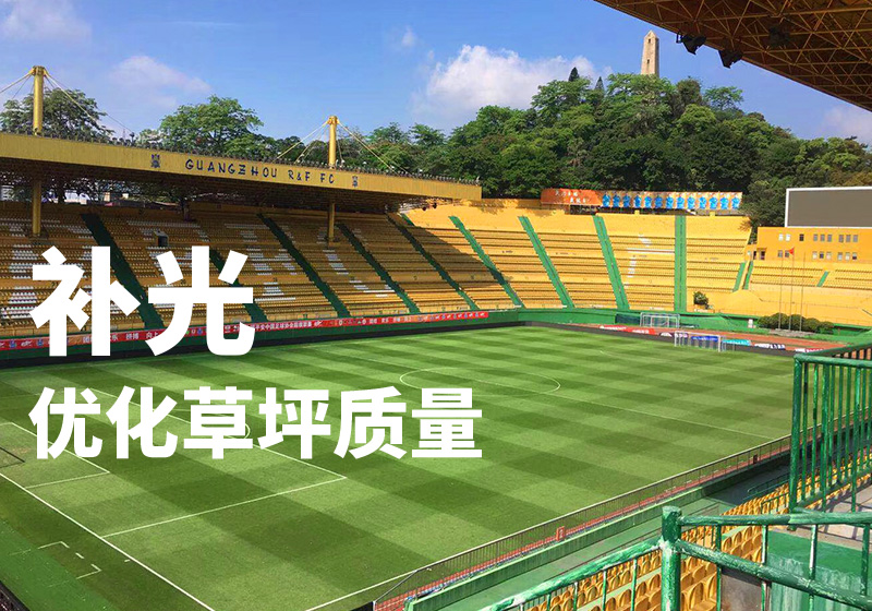 广州富力主场