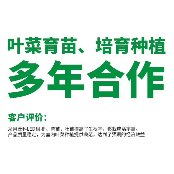 墨西哥室内组培、叶菜种植