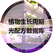 植物生长周期光配方数据库