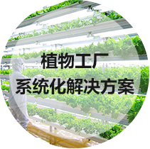 植物工厂系统化解决方案