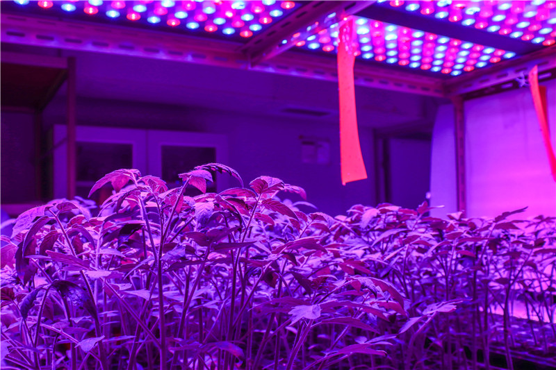 泛科科技-led植物生长灯-校企合作 携手发展