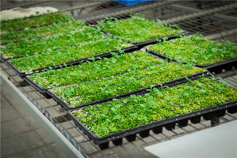 泛科科技-led植物生长灯-校企合作 携手发展