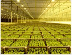 植物补光灯产品的测量