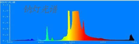 植物灯光谱图