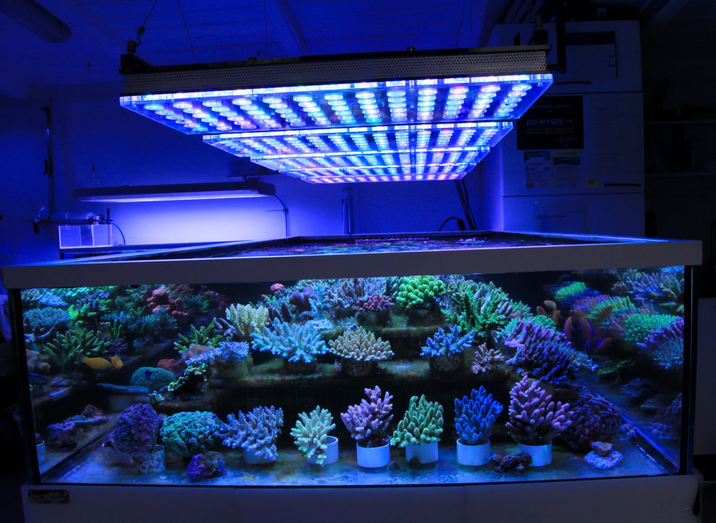 led植物生长灯,led水族灯