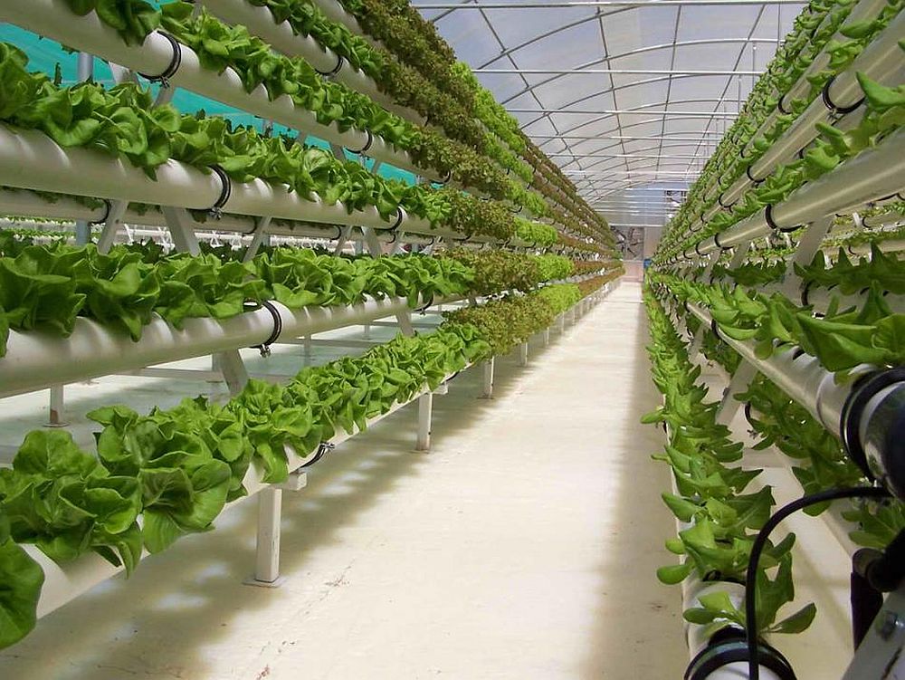 爱游戏app网页版官方入口：合于农业种植的常识