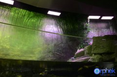 普通的水草灯养不好水草_led水草灯种类与配置介绍