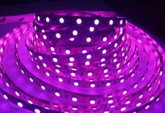 led紫光灯珠种类与结构介绍_led灯珠生产批发厂家
