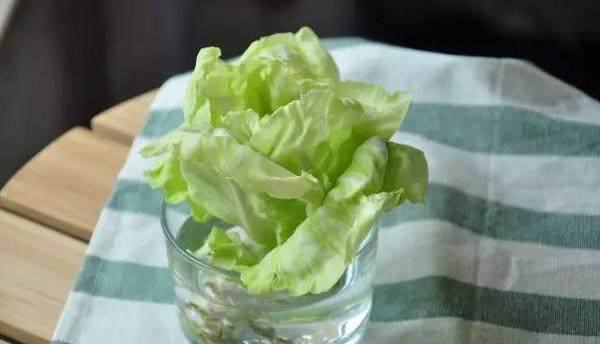 水培蔬菜