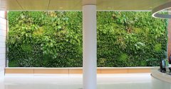 植物工厂的主要光源：led植物生长灯_预测并延长