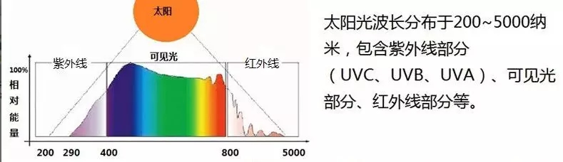 植物生长灯