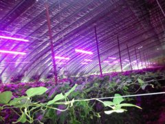 LED灯在工厂辅助灯中的广泛应用