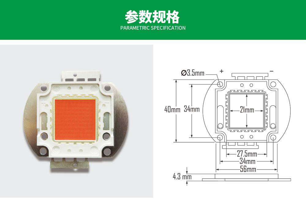 led灯珠