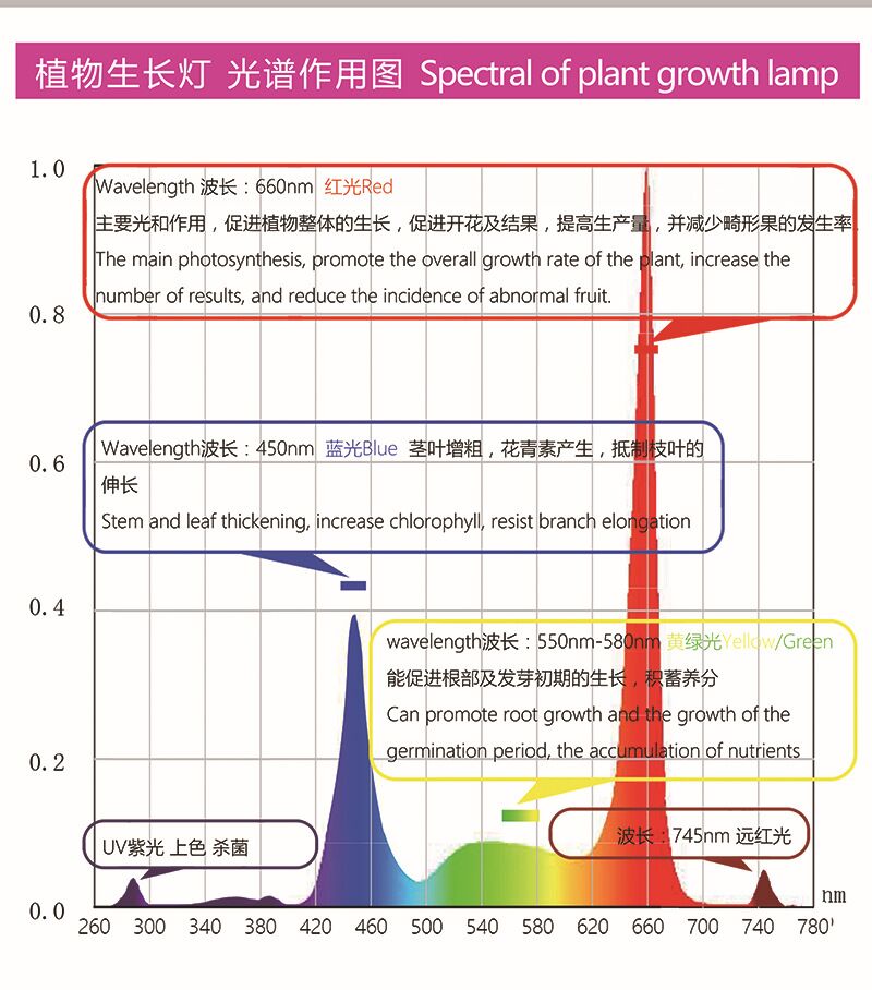led植物生长灯红蓝光比例如何选?