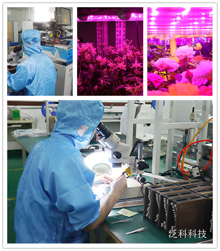 led植物生长灯行业领军者