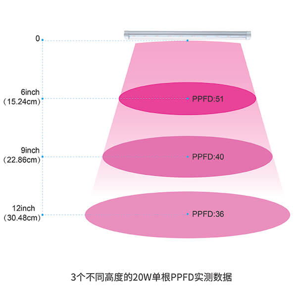 GLT8 PPFD